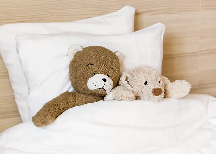 Scandic øst 4* Aalborg